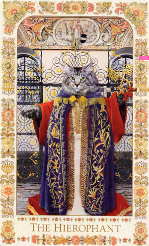 Baroque Bohemian Cats