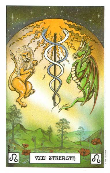 Dragon Tarot by Terry Donaldson & Peter Pracownik