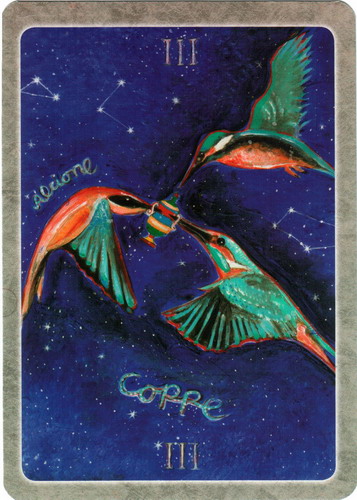 Secret Language of Birds Tarot