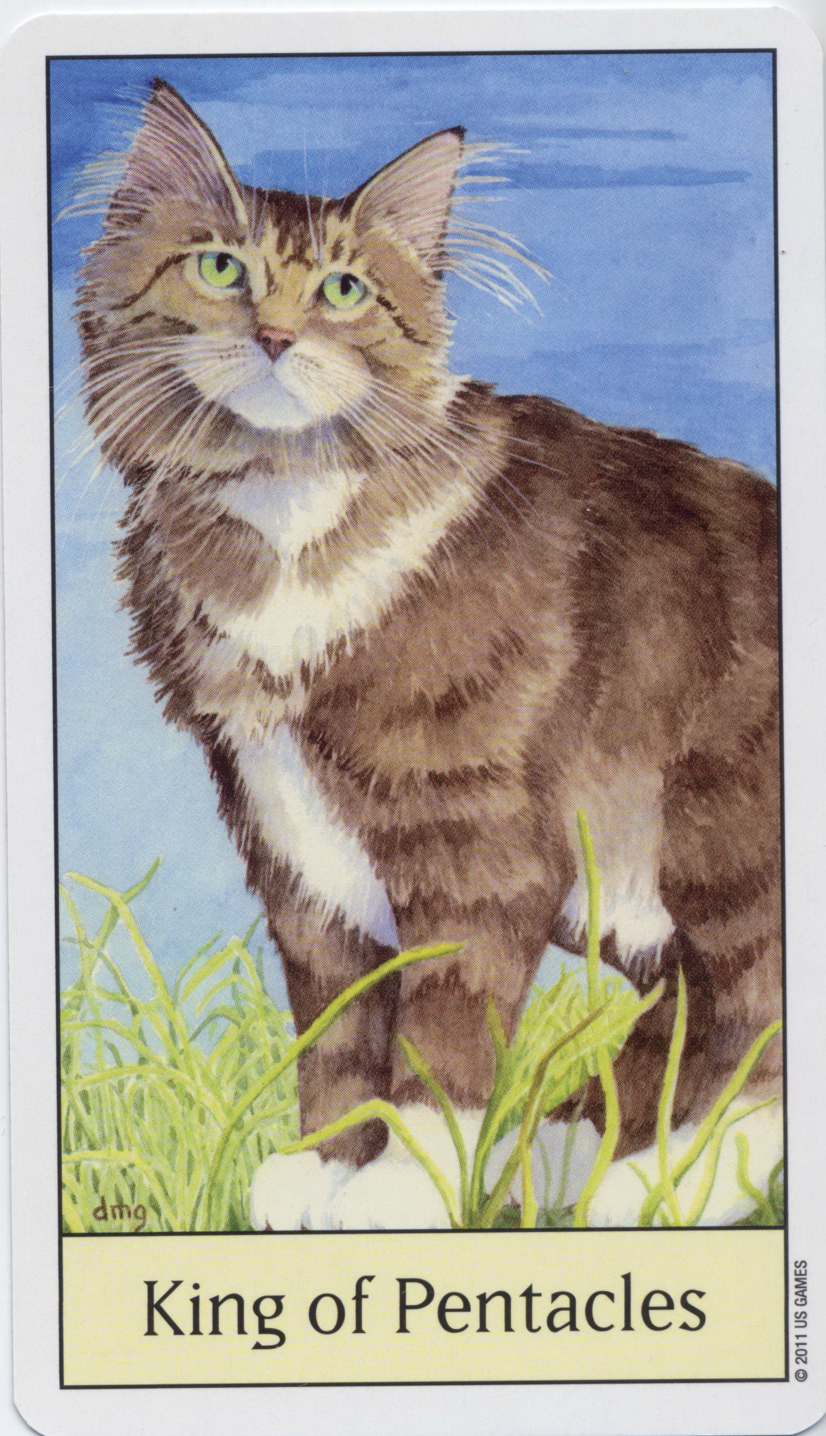 Cat's Eye Tarot