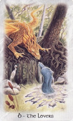 Celtic dragon tarot