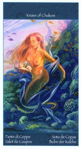 Tarot of Mermaid