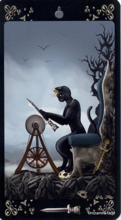 Black Cats Tarot