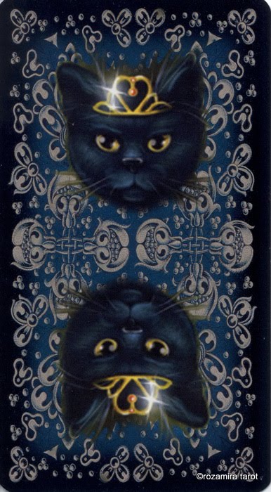 Black Cats Tarot