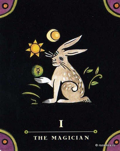 Nova Tarot