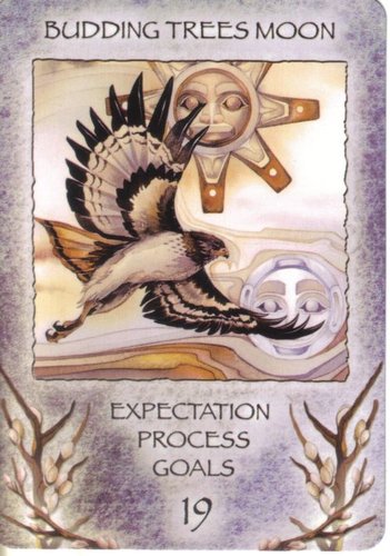 Spirit Of The Wheel Meditation Deck