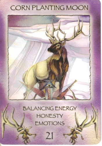 Spirit Of The Wheel Meditation Deck