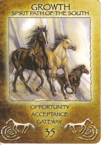 Spirit Of The Wheel Meditation Deck