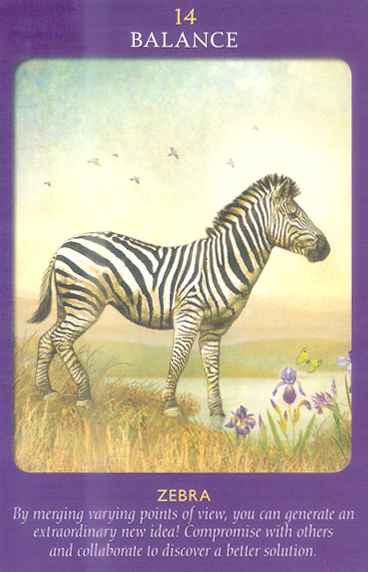 Animal Tarot Cards