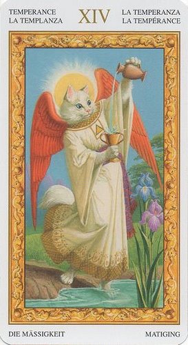 Tarot of White Cats