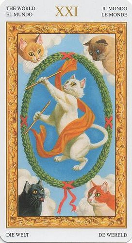 Tarot of White Cats