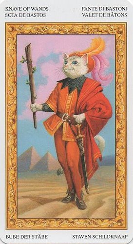 Tarot of White Cats