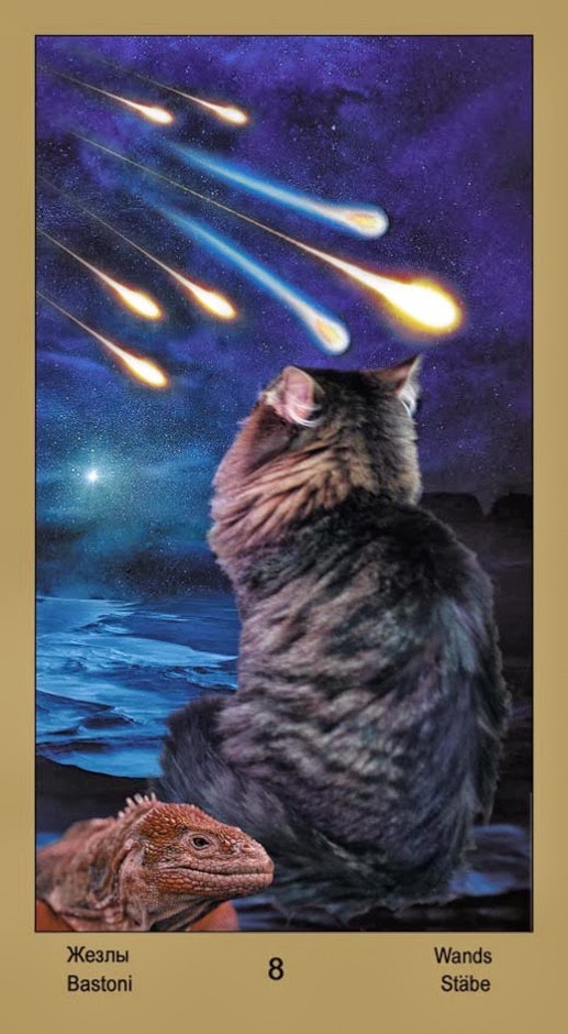 Таро Катавасия (Tarot Cat-A-Vasya)