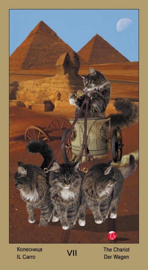 Таро Катавасия (Tarot Cat-A-Vasya)