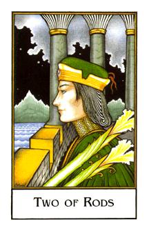 New Palladini Tarot