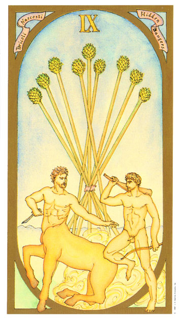 Renaissance Tarot Classical by Brian Williams