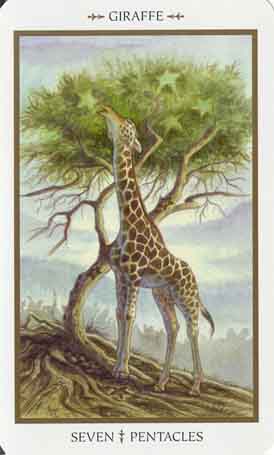 Animals Divine Tarot