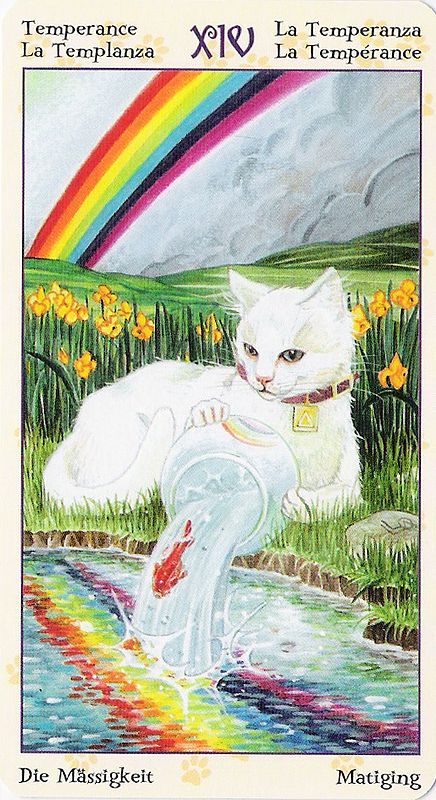 Tarot of Pagan Cats