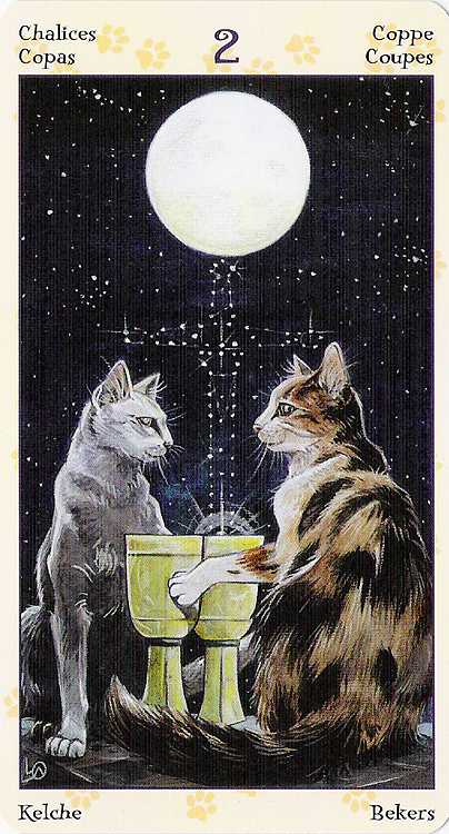 Tarot of Pagan Cats