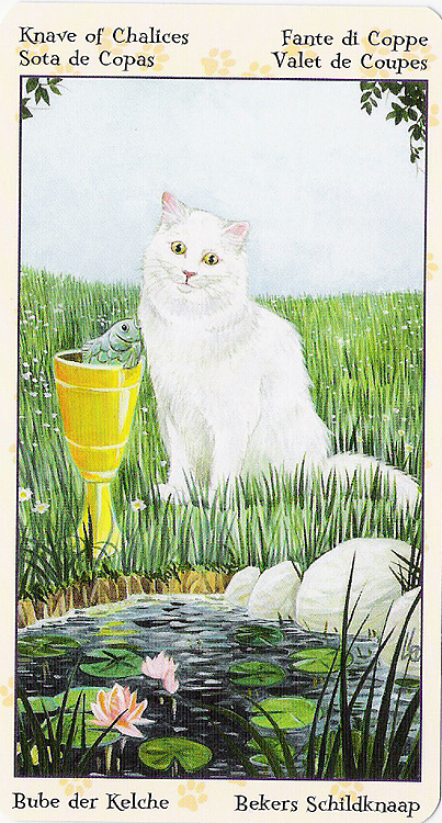 Tarot of Pagan Cats