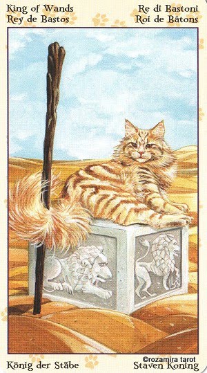 Tarot of Pagan Cats