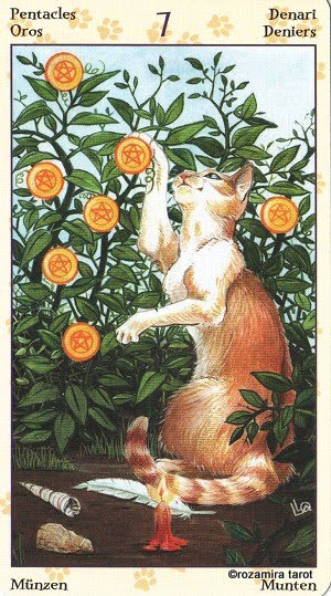 Tarot of Pagan Cats