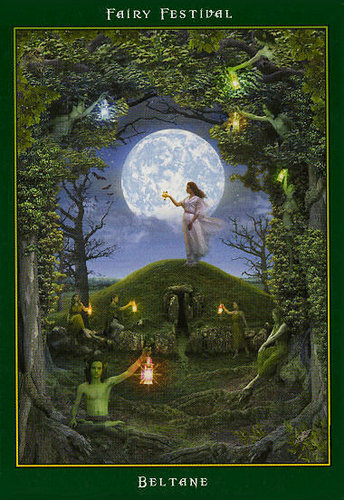 Fairy Ring Oracle