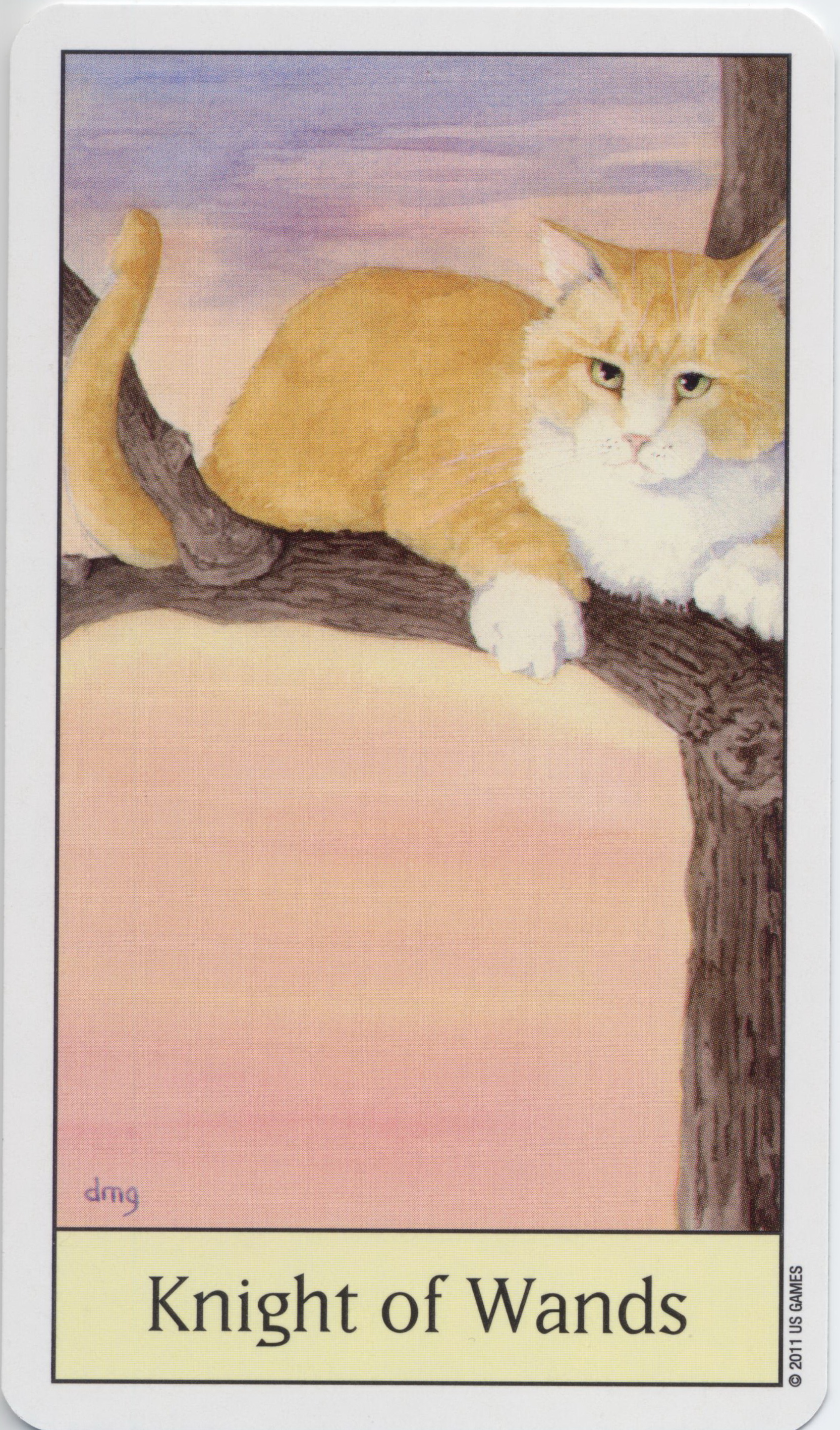 Cat's Eye Tarot