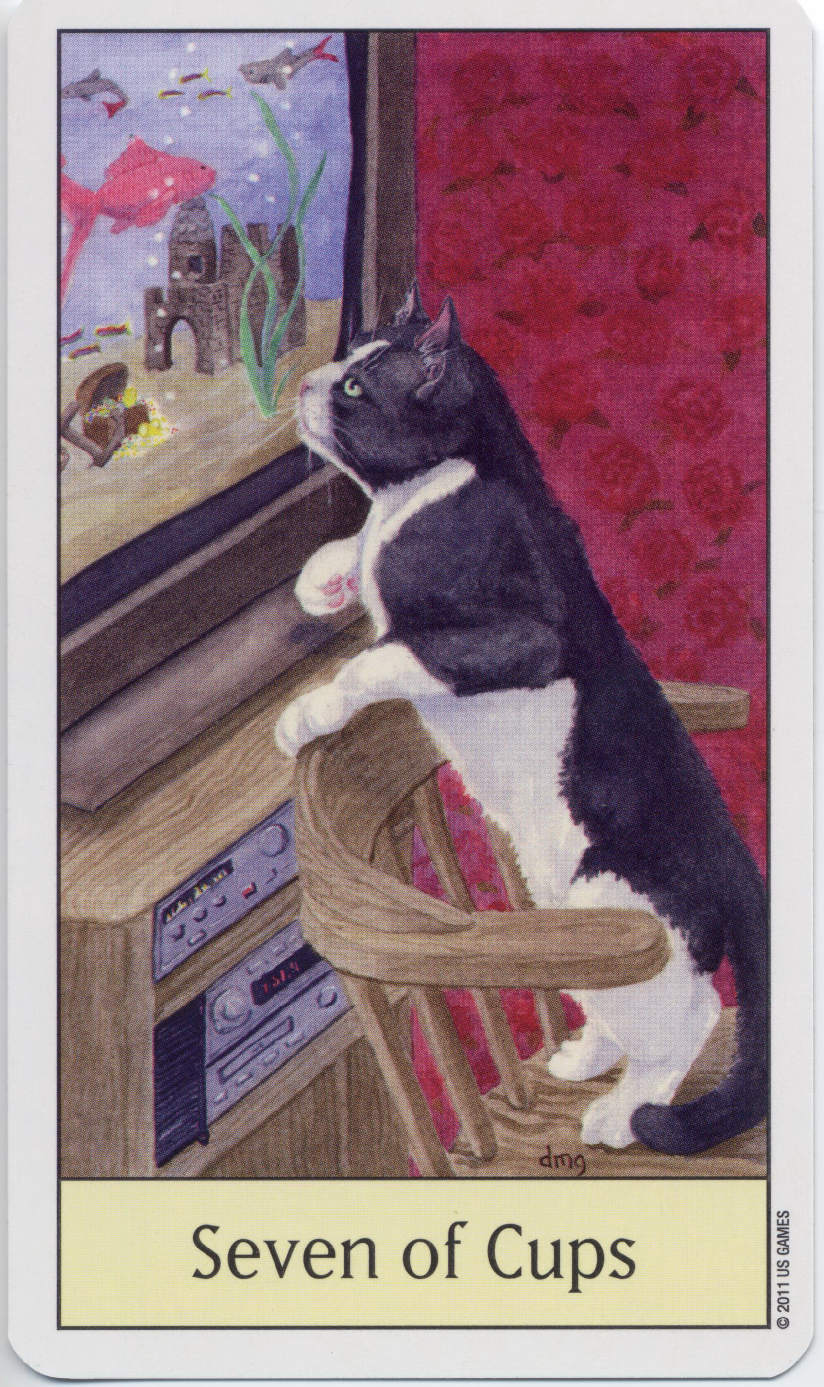 Cat's Eye Tarot