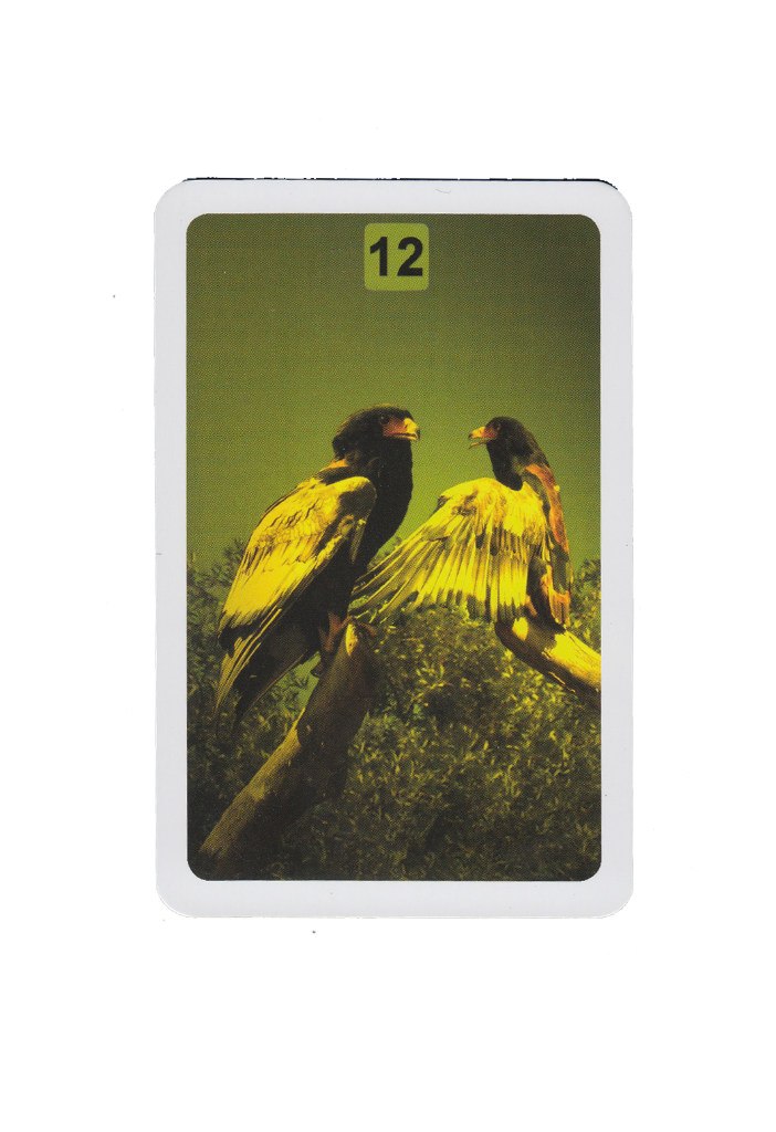 Rainbow Lenormand