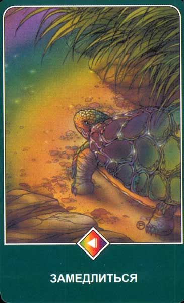 Ошо Дзен Таро