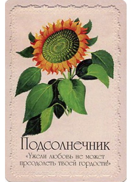 Язык растений книга. Ознобишин селам или язык цветов. Язык цветов книга.