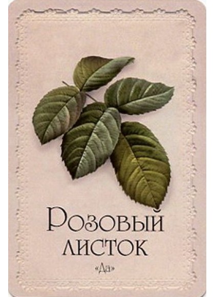 Язык растений книга. Селам, или язык цветов Ознобишин д.. Ознобишин язык цветов.
