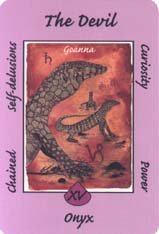 Australian Animal Tarot