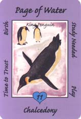 Australian Animal Tarot