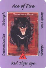 Australian Animal Tarot