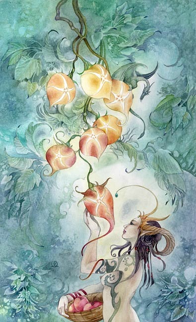 Shadowscapes Tarot