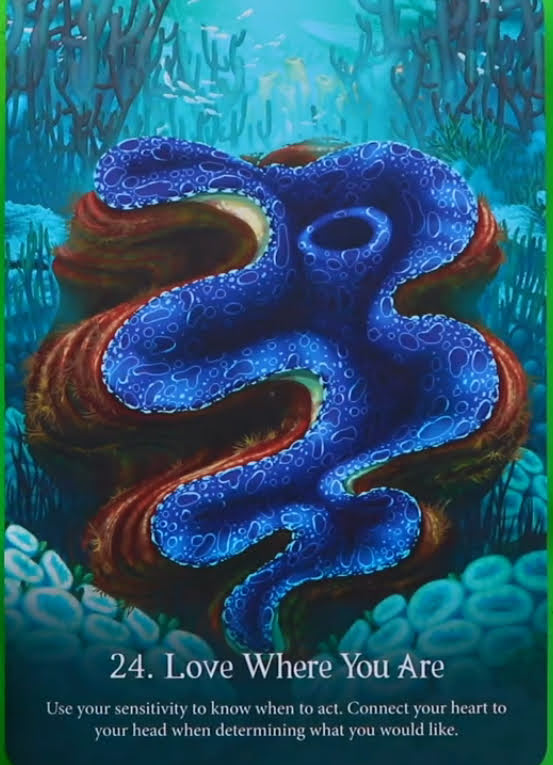 Whispers of the Ocean Oracle Cards