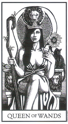 Bianco Nero Tarot