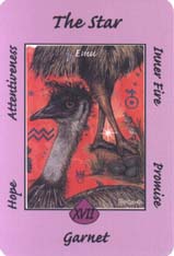 Australian Animal Tarot