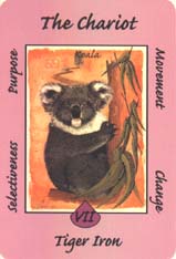 Australian Animal Tarot