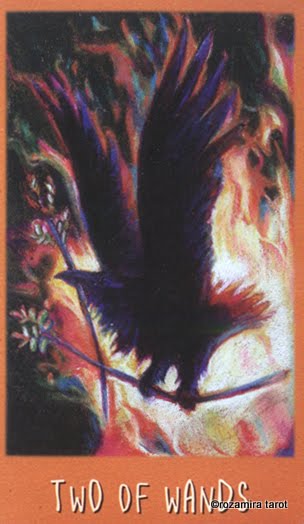 The Raven's Prophecy Tarot