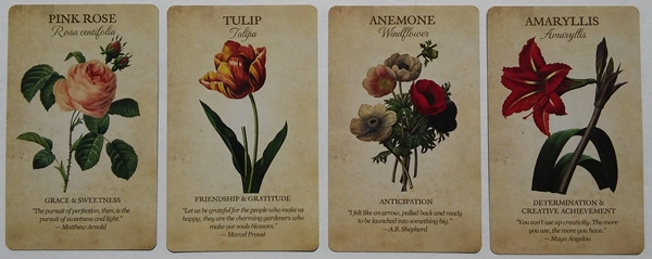 Botanical Inspirations Deck & Book Set