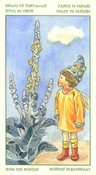 The Spirit of Flowers Tarot