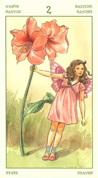 The Spirit of Flowers Tarot