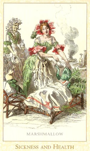 Victorian Flower Oracle