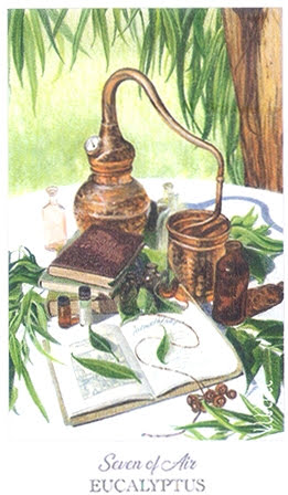 The Herbcrafter’s Tarot