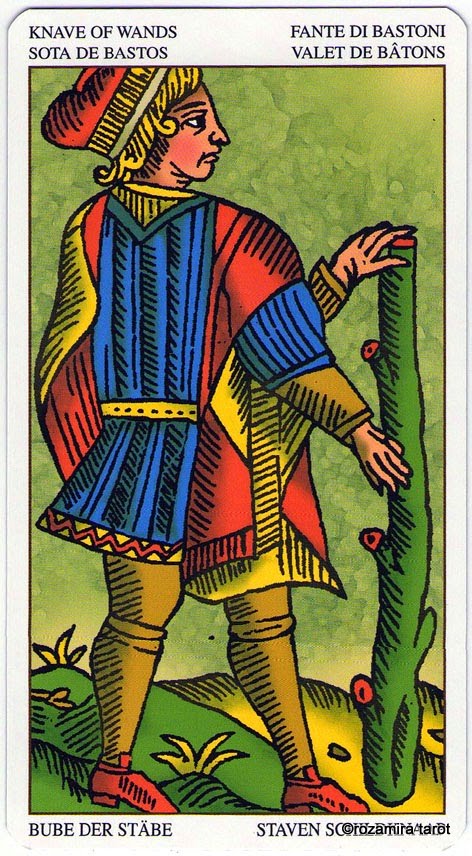 Universal Tarot Of Marseille (LS)