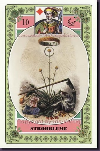 Lenormand - Das Blumen Orakel Set