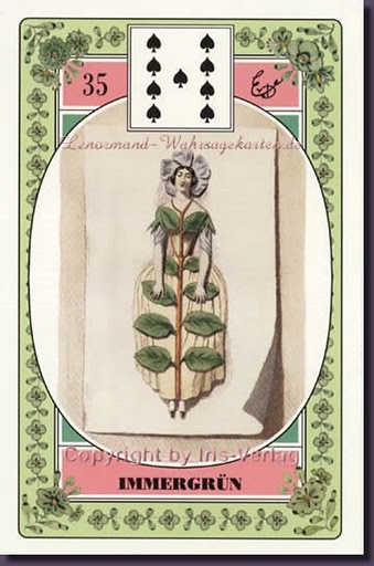 Lenormand - Das Blumen Orakel Set